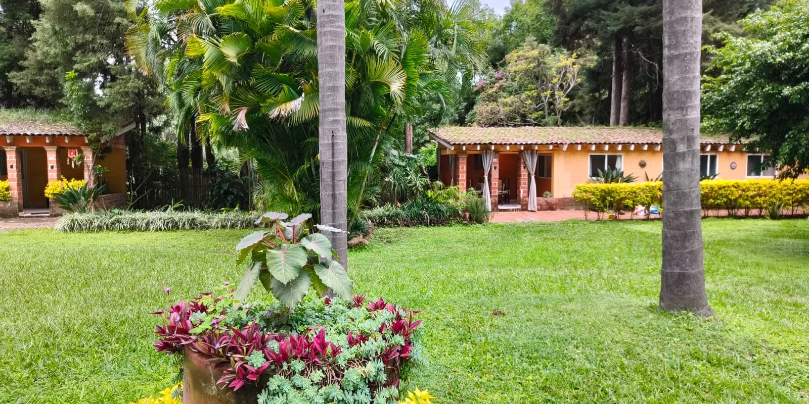 Jardín de Portal Azahualco con dos bungalows al fondo, entre palmeras y árboles
