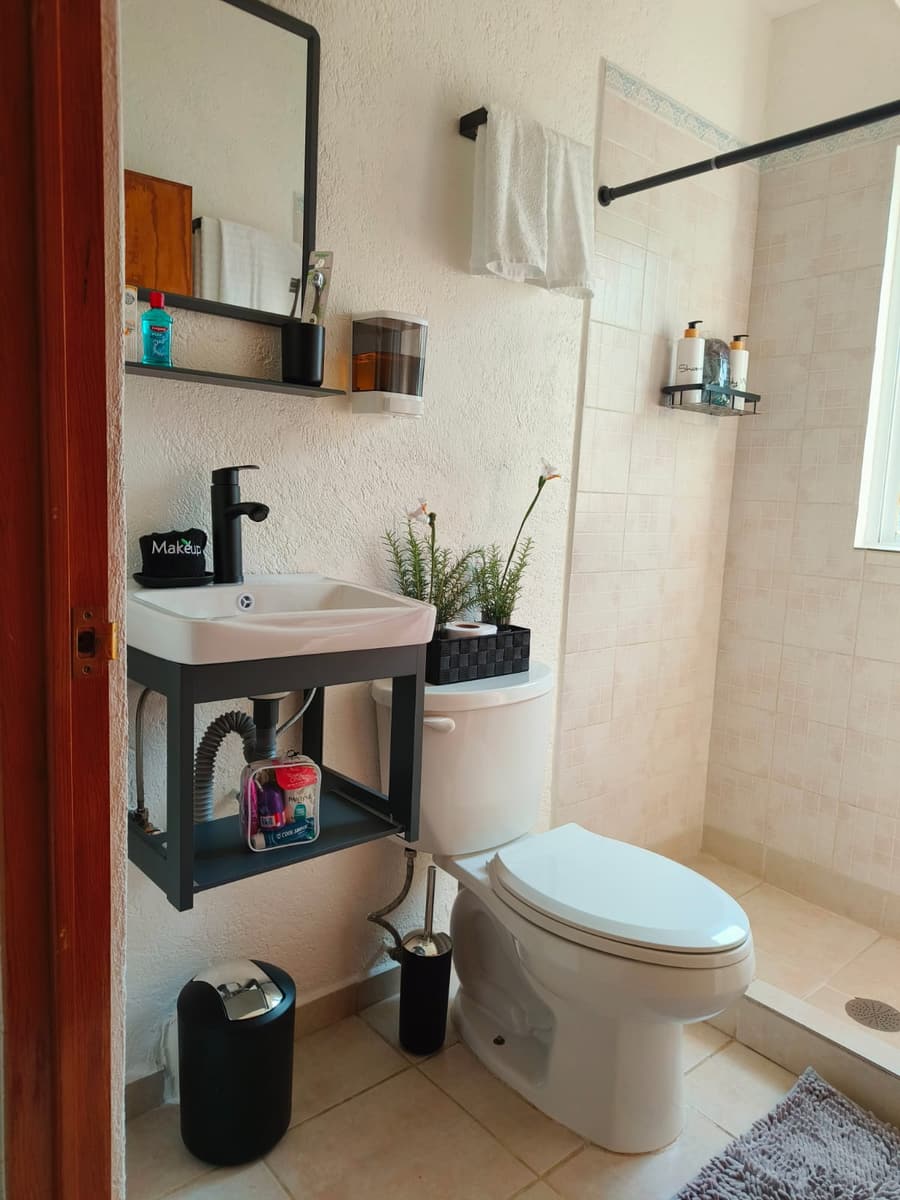 Baño con lavabo, regadera, toallas, plantas y amenidades