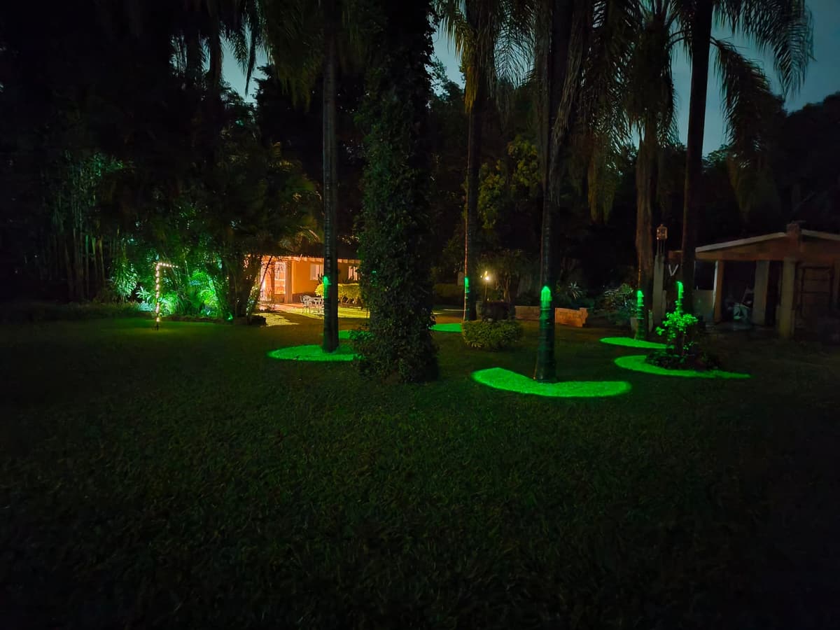 Jardín iluminado de noche, con luces al pie de las palmeras y un bungalow al fondo