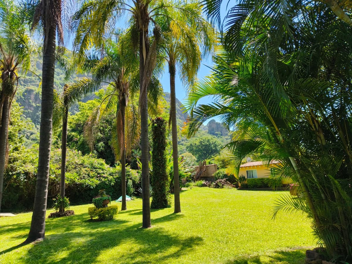 Jardín con palmeras altas, pasto verde y los cerros de Tepoztlán al fondo