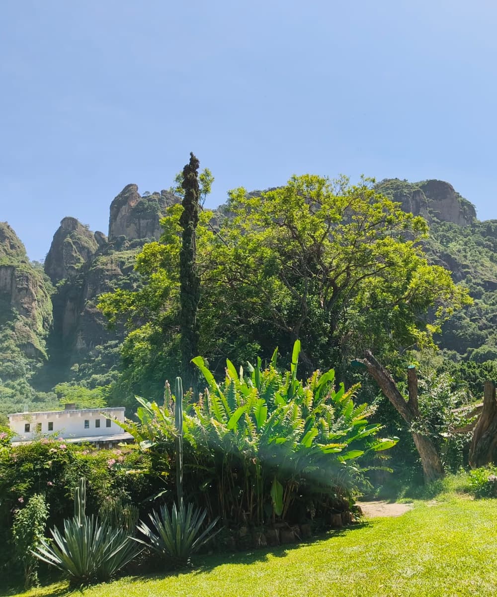 Vista desde el jardín de Portal Azahualco: palmeras, árboles y los cerros de Tepoztlán
